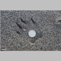 DSC08611_min_Wolf-Spur.jpg
