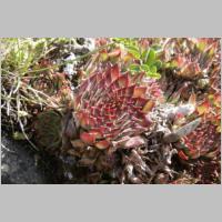 _MG_5728_Fibonacci-Mathematik.JPG